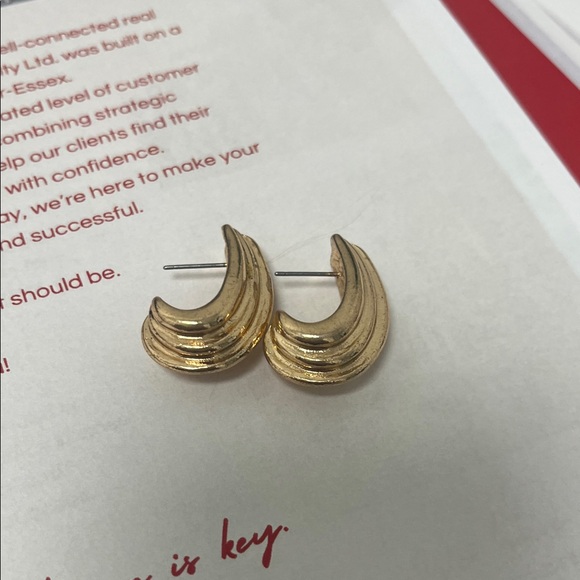 Mejuri Jewelry - Mejuri Gold Sculpted Earrings